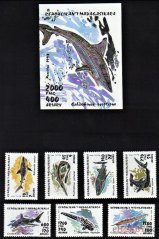Žraloky Madagaskar 1993