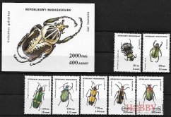 Chrobáky Madagaskar 1994