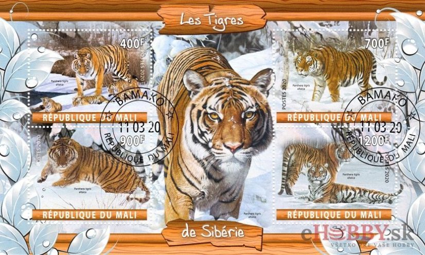 Sibírske tigre - Mali 2020