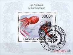 Antarktické zvieratá - Komory