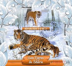 Sibírske tigre - Mali 2020