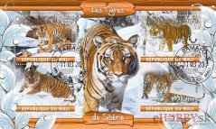 Sibírske tigre - Mali 2020