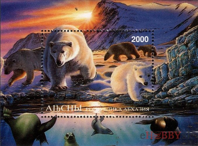 Ľadové medvede - Abcházsko