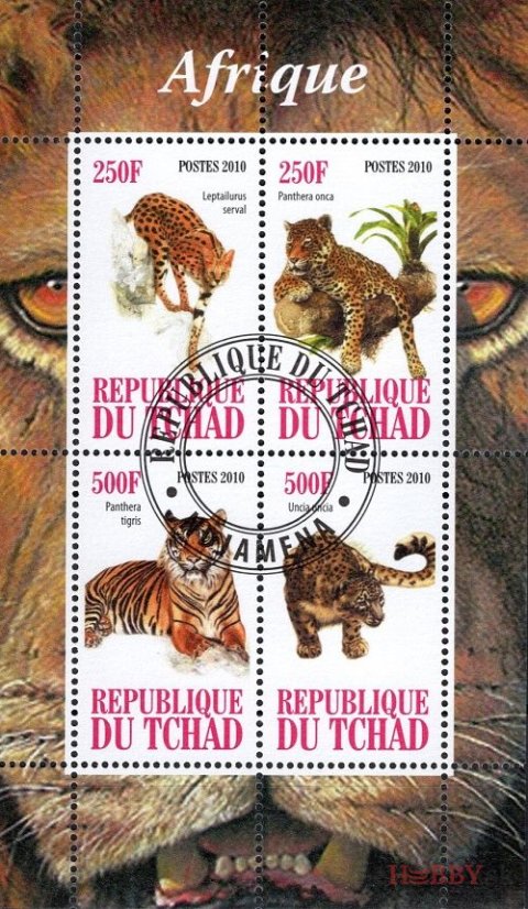 Afrika - Čad 2010