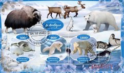 Arktída - Gabon 2020