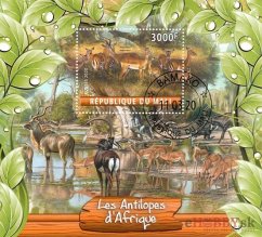 Africké antilopy - Mali 2020