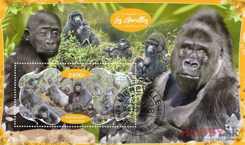 Gorily - Gabon 2020
