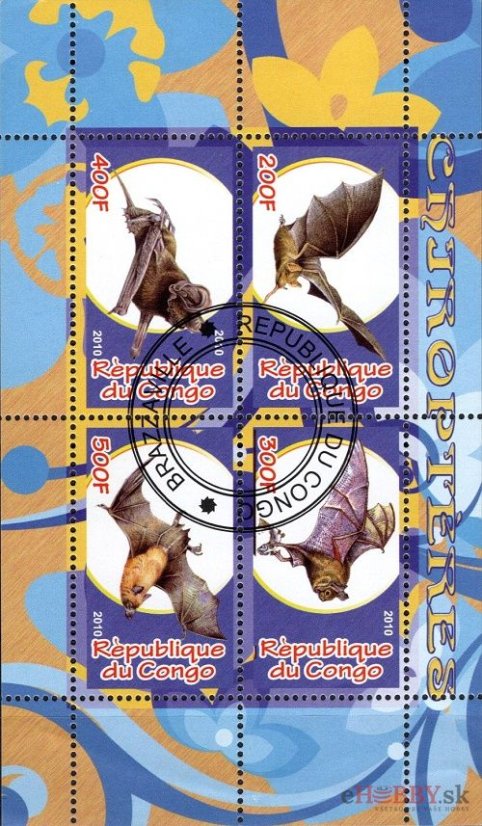 Netopiere - Kongo 2010