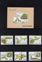Motýle Afganistan 1996