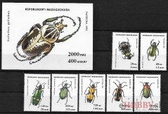 Chrobáky Madagaskar 1994