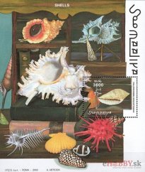 Mušle - Somálsko 2003