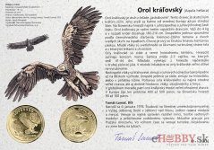 Autorská karta 5€ 2025 - Orol Kráľovský