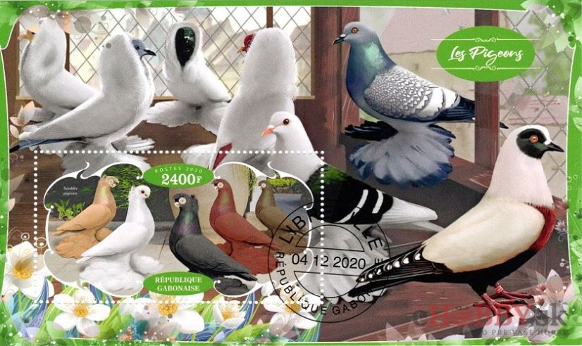 Holuby - Gabon 2020