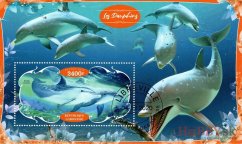 Delfíny - Gabon 2020