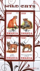 Divoké mačky - Rwanda 2010