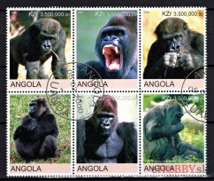 Gorily - Angola 2000