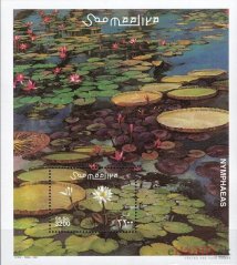 Lekná - Somálsko 2001