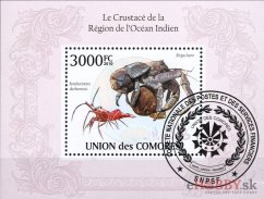 Kôrovce z oblasti Indického oceánu - Komory