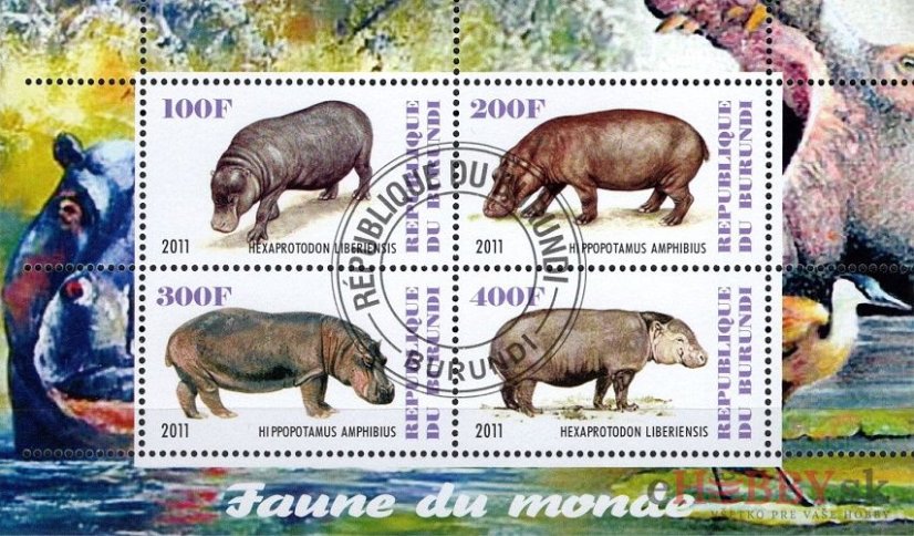 Fauna sveta - Hroch - Burundi 2011