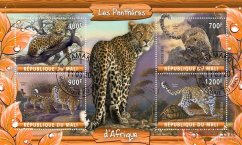 Leopardy Afriky - Mali 2020