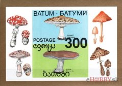 Huby - Batum (2)