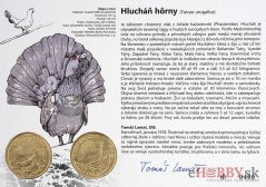 Autorská karta 5€ 2024 - Hlucháň hôrny