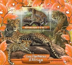 Leopardy Afriky - Mali 2020