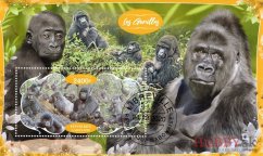 Gorily - Gabon 2020