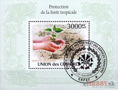 Ochrana dažďového pralesa - Komory