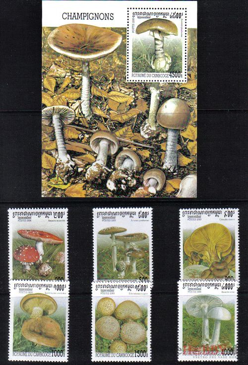 Huby Kambodža 2000