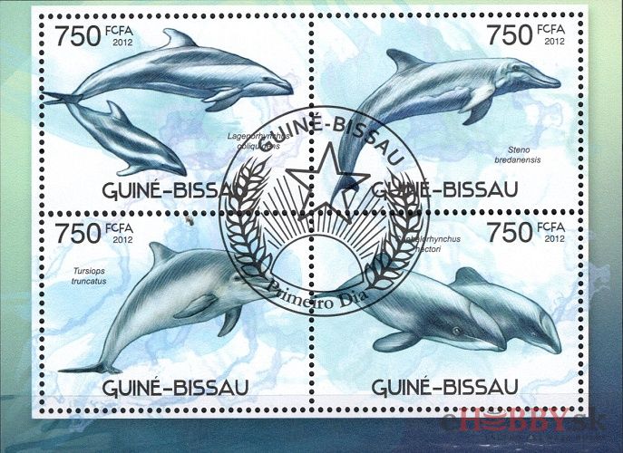 Delfíni - Guinea-Bissau 2012