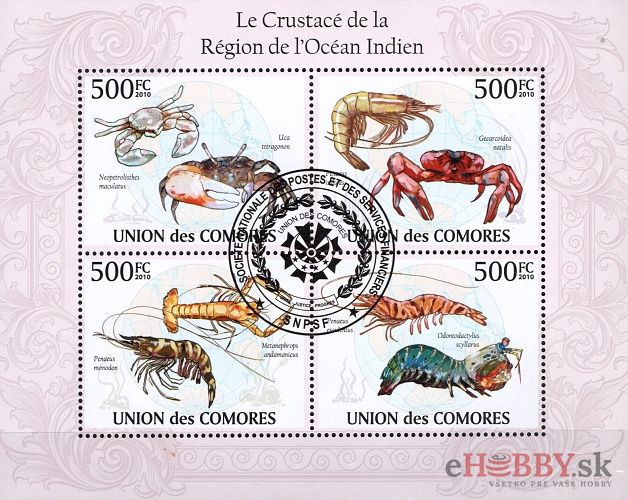 Kôrovce z oblasti Indického oceánu - Komory