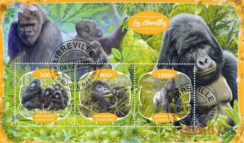 Gorily - Gabon 2020