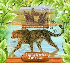 Gepardy Afriky - Mali 2020