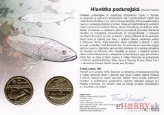 Autorská karta 5€ 2025 - Hlavátka podunajská