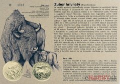 Autorská karta 5€ 2024 - Zubor hrivnatý