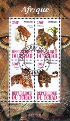 Afrika - Čad 2010