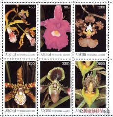 Orchidea - Abcházsko